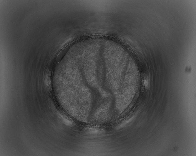 X0000095521252200801041215