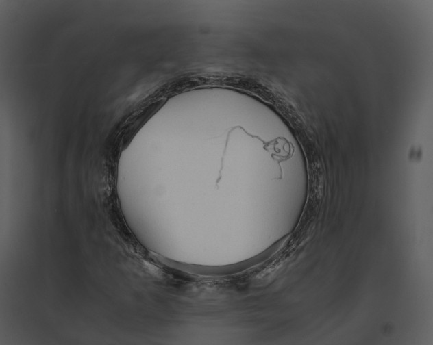 X0000095521253200801041215