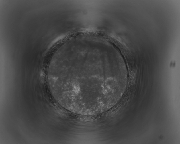 X0000095521254200801041215