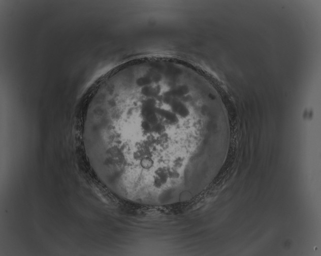 X0000095521255200801041215