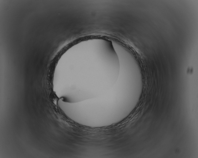 X0000095521256200801041215