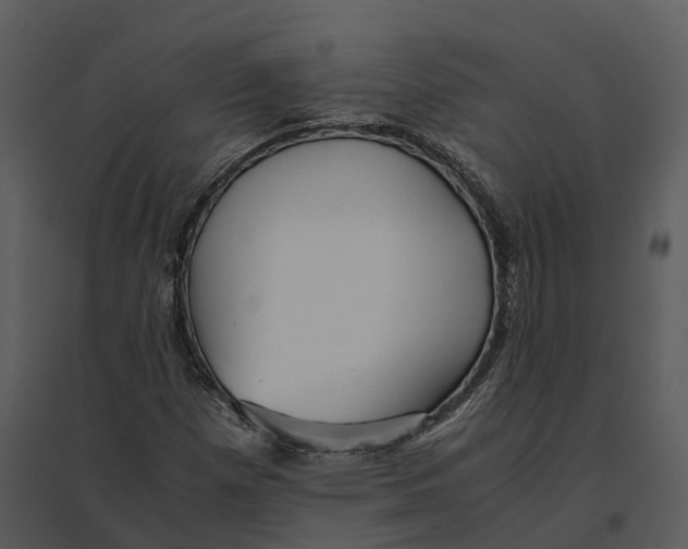 X0000095521257200801041215