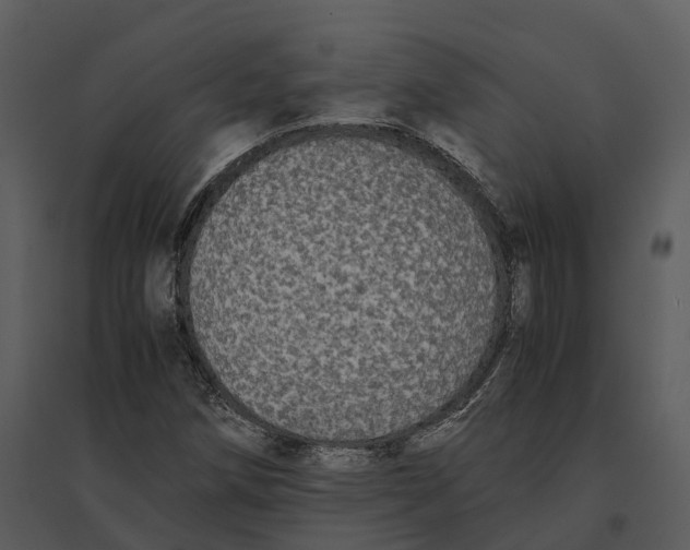 X0000095521258200801041215