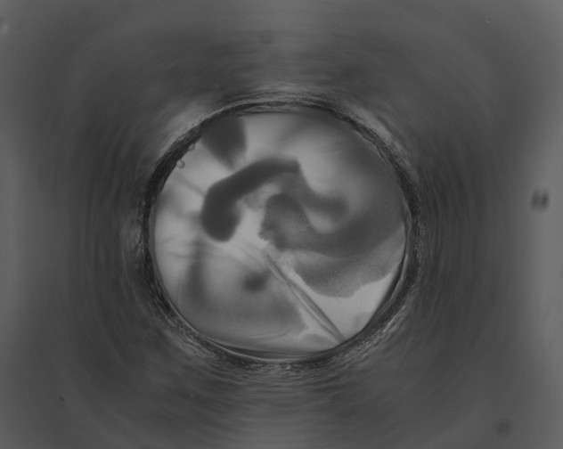 X0000095521259200801041215