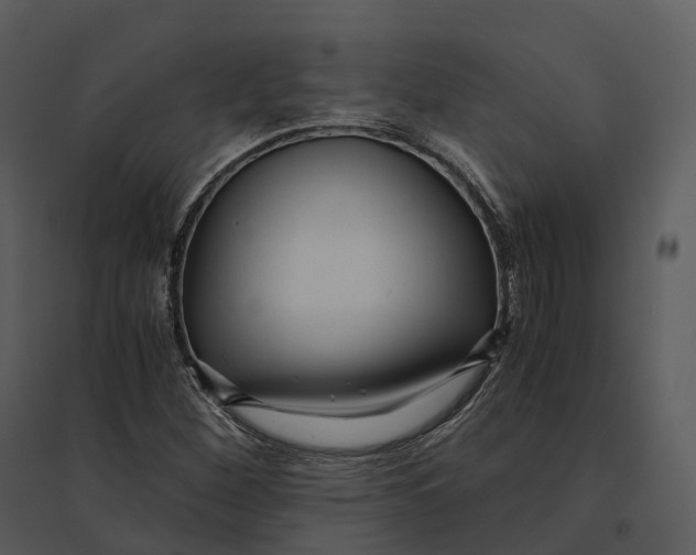 X0000095521260200801041215