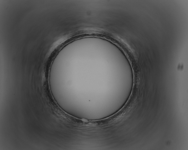 X0000095521261200801041215