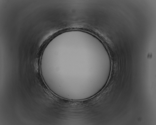 X0000095521262200801041215