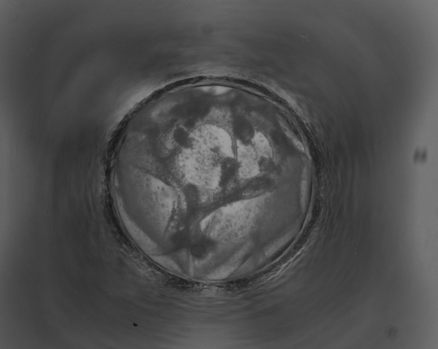 X0000095521263200801041215