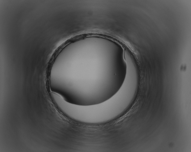 X0000095521264200801041215