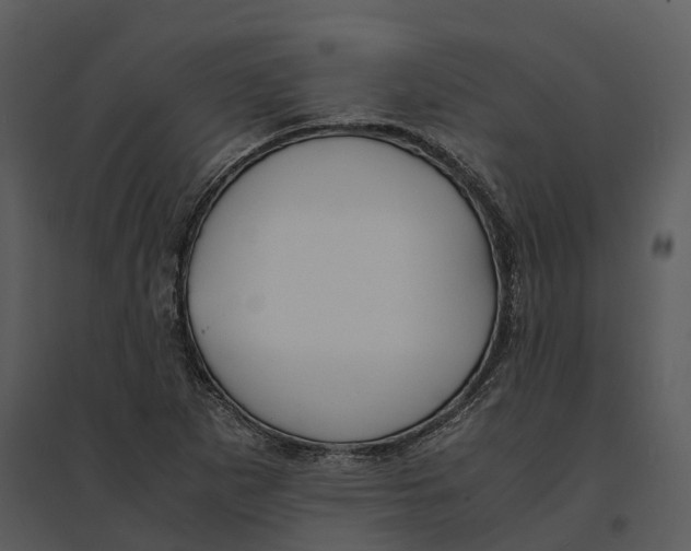 X0000095521265200801041215