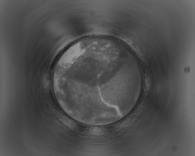 X0000095521266200801041215