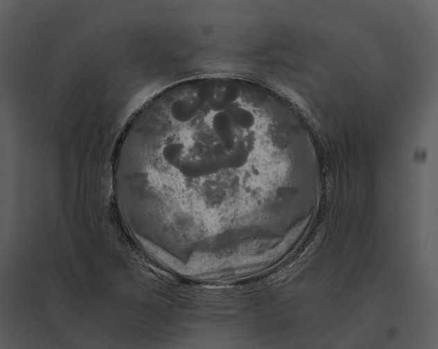 X0000095521267200801041215