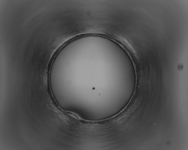 X0000095521268200801041215