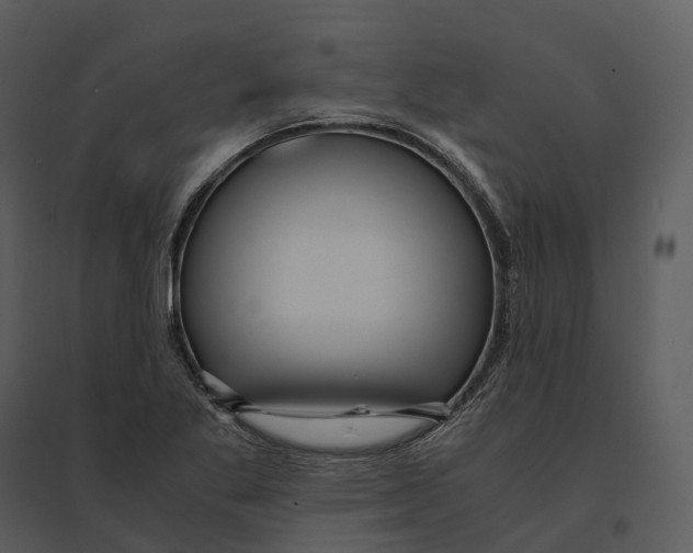 X0000095521269200801041215