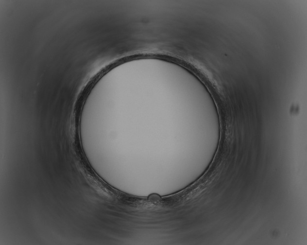 X0000095521270200801041215