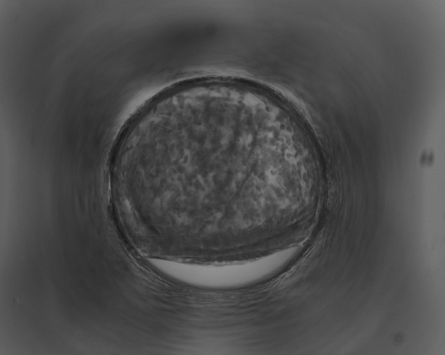 X0000095521271200801041215