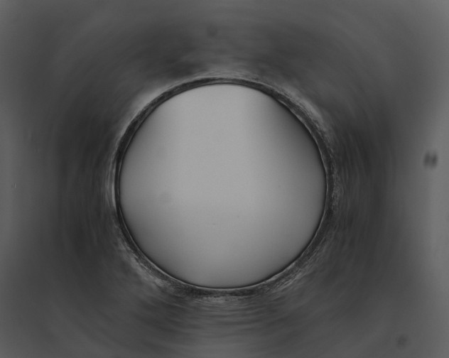 X0000095521272200801041215