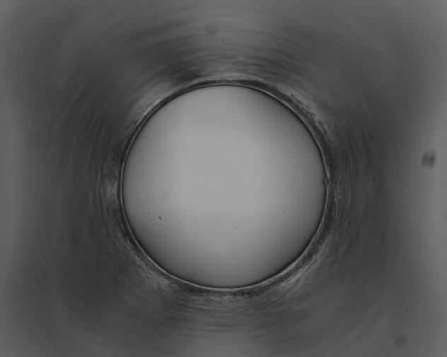 X0000095521273200801041215