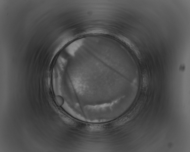 X0000095521274200801041215