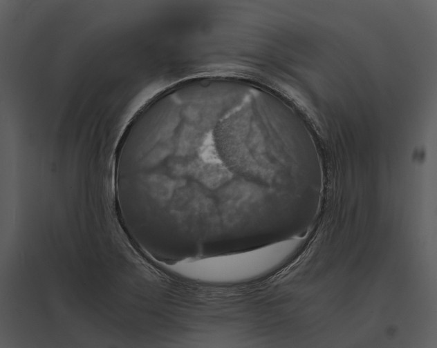 X0000095521275200801041215