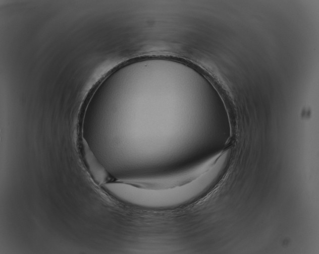 X0000095521277200801041215