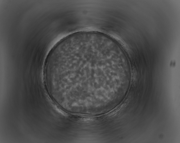 X0000095521278200801041215