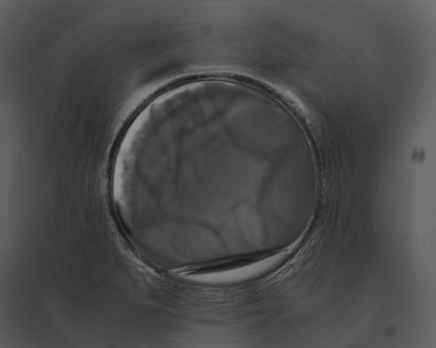 X0000095521279200801041215