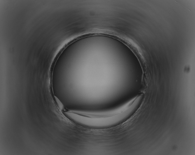 X0000095521280200801041215