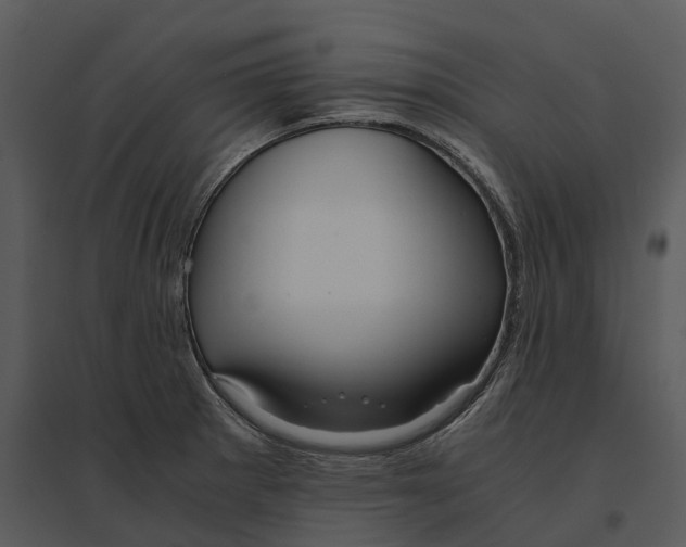 X0000095521281200801041215