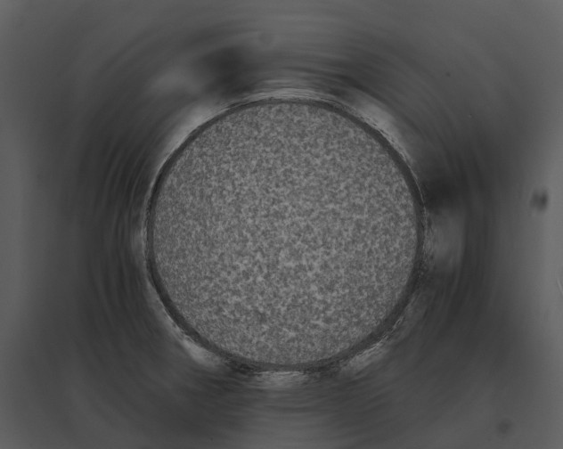 X0000095521282200801041215