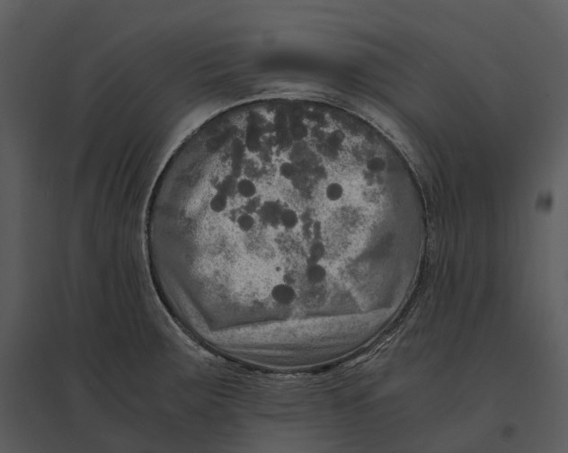 X0000095521283200801041215