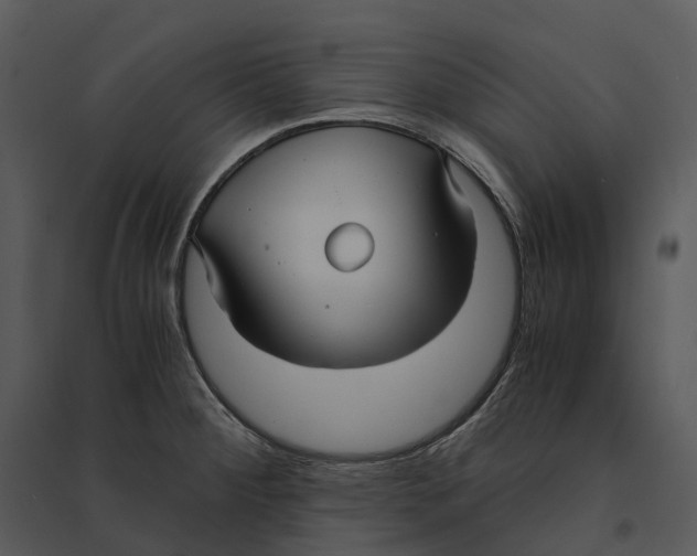 X0000095521284200801041215