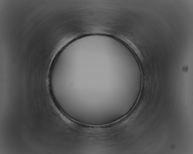 X0000095521285200801041215