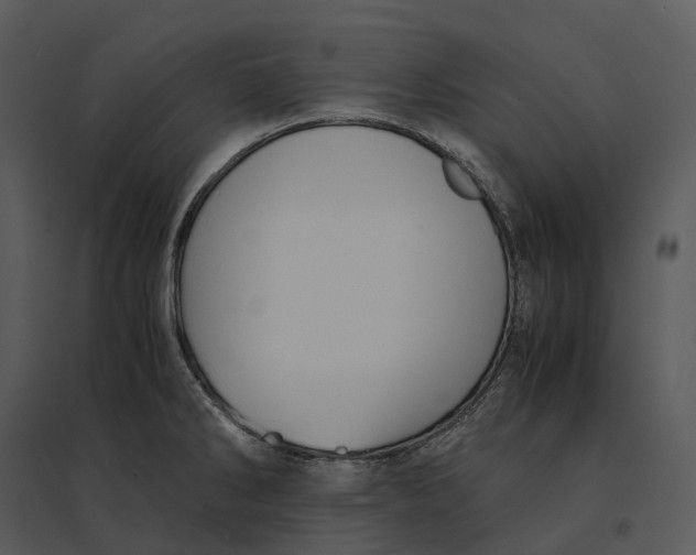 X0000095521286200801041215