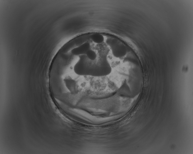 X0000095521287200801041215