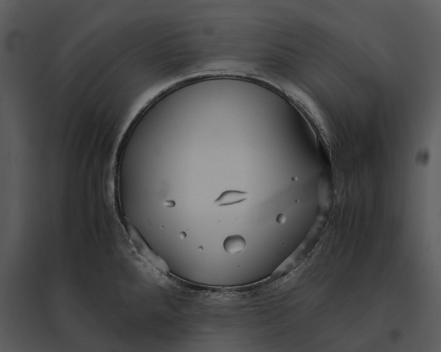 X0000095521288200801041215