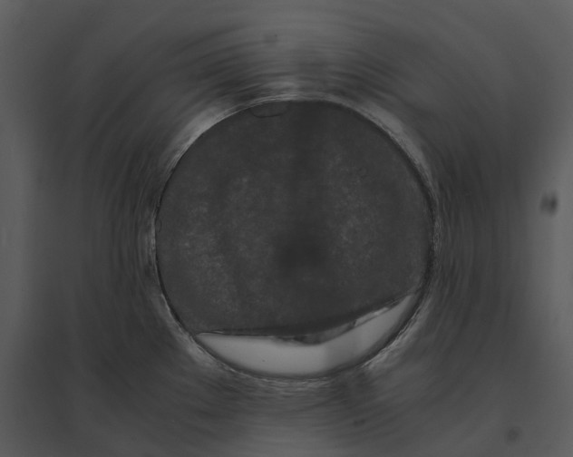 X0000095521289200801041215