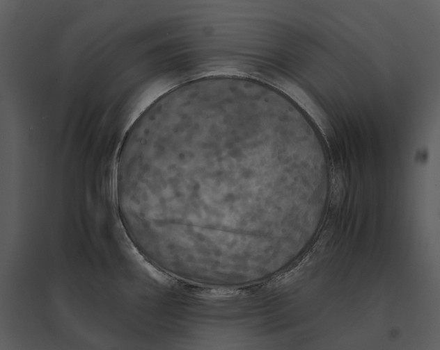 X0000095521290200801041215