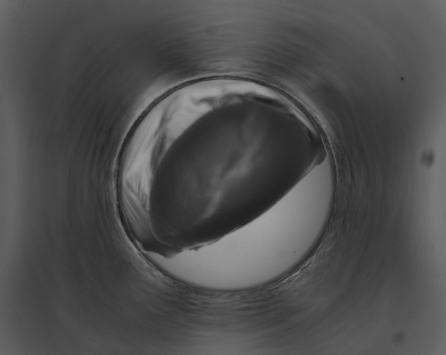 X0000095521291200801041215