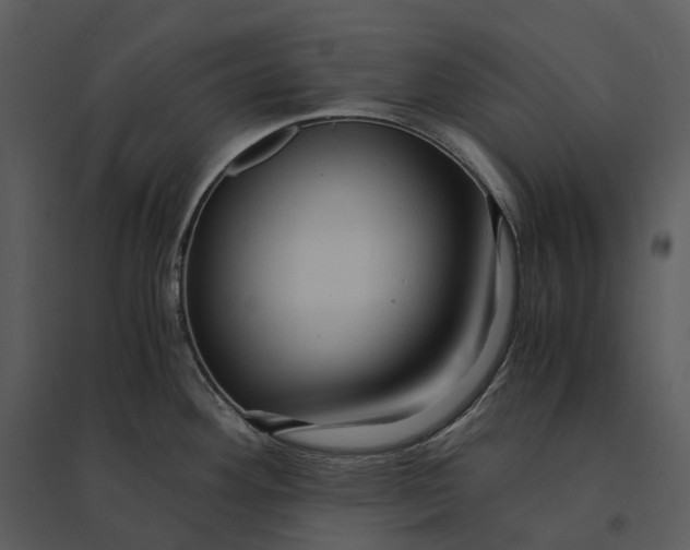 X0000095521292200801041215