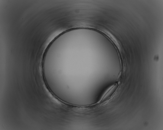 X0000095521293200801041215