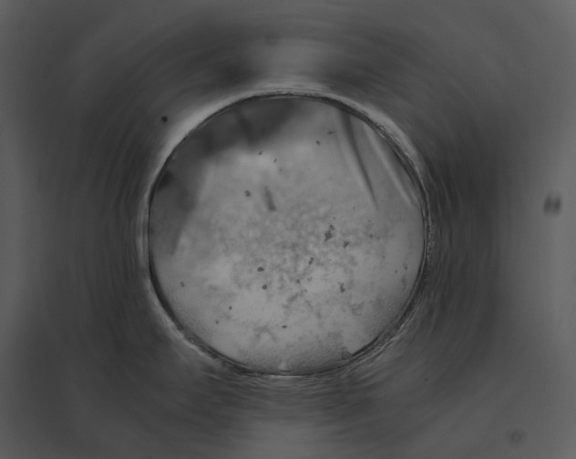 X0000095521295200801041214