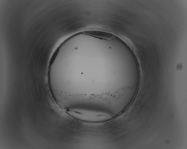 X0000095521296200801041214