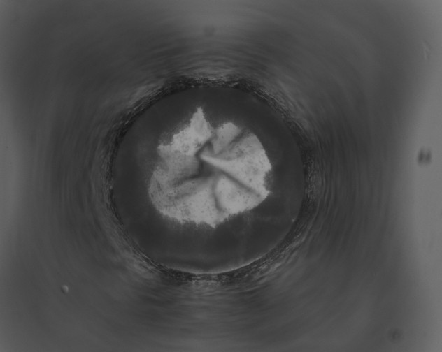 X0000095521297200801041214