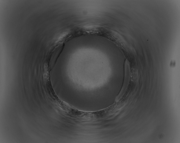 X0000095521298200801041214