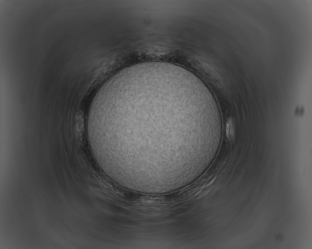 X0000095521299200801041214