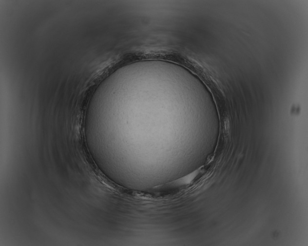 X0000095521300200801041214