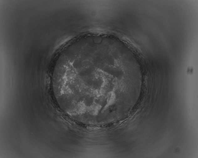 X0000095521302200801041214