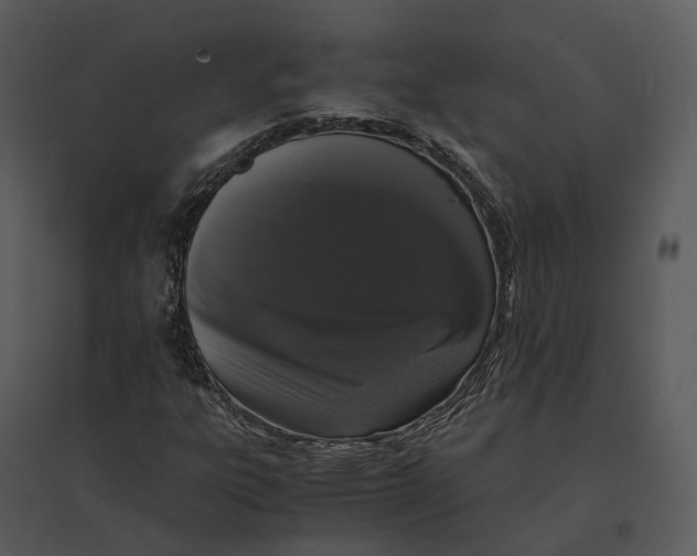 X0000095521303200801041214