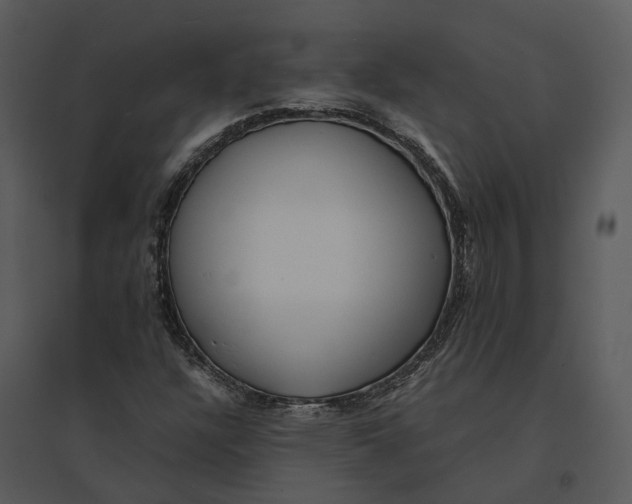 X0000095521304200801041214